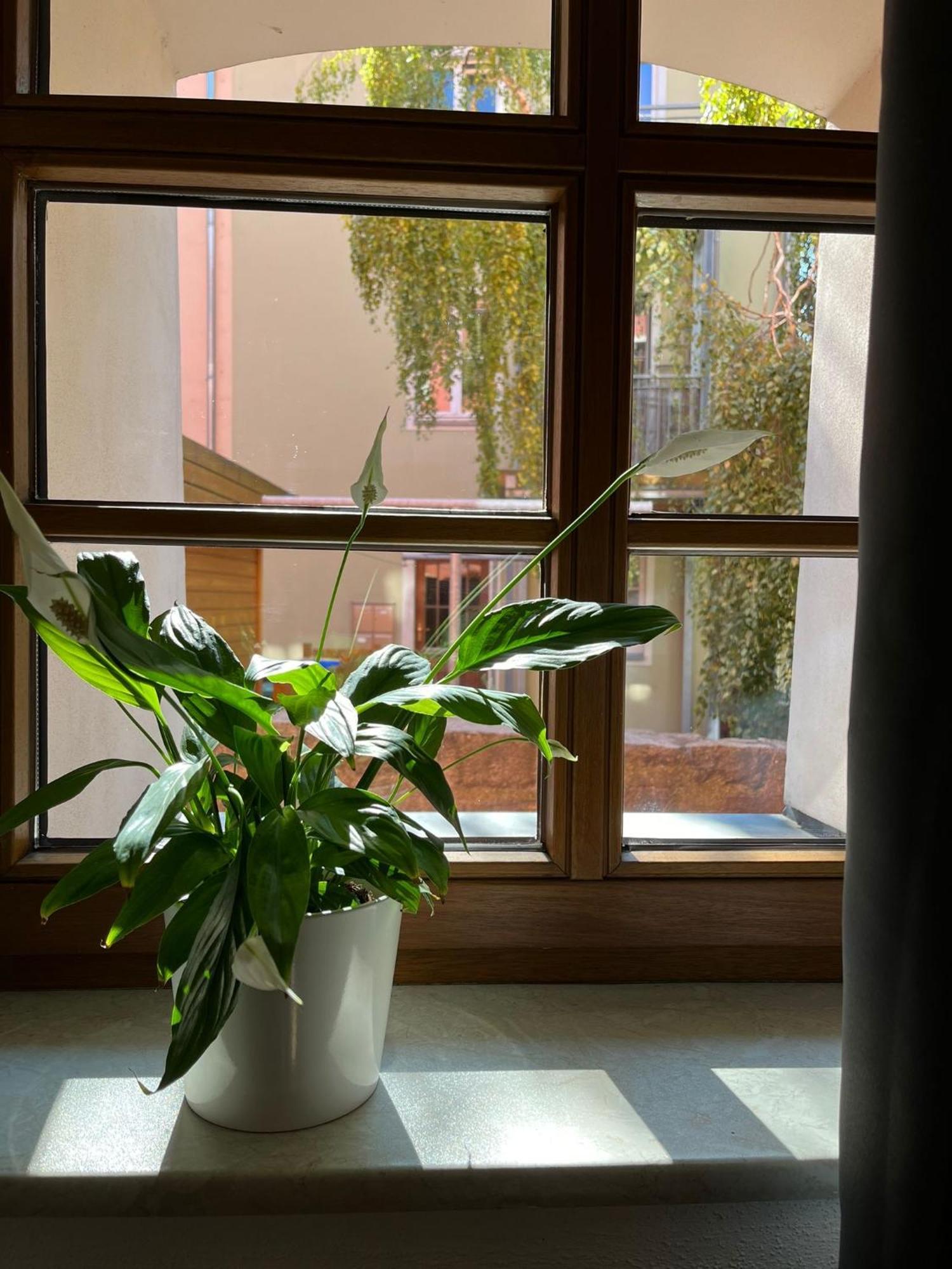 Apartment 5 Predigergasse